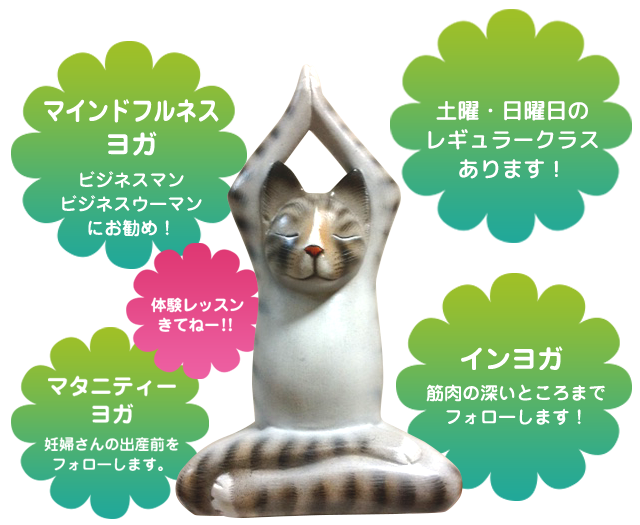 ThreeTreeYoga［スリーツリーヨガ］ポイント