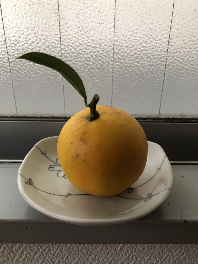 🍋檸檬
